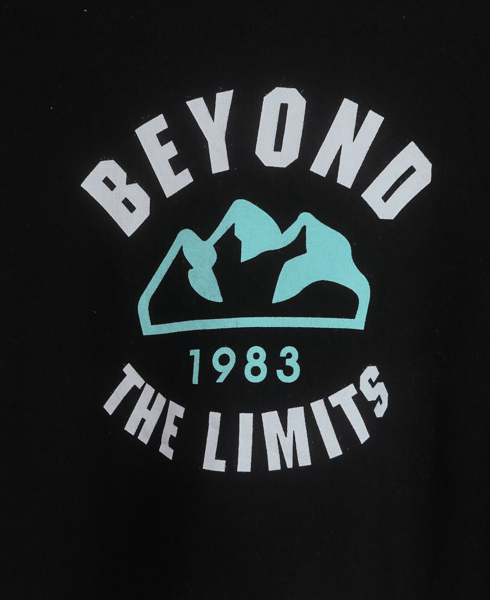 10.26.23 - VTG SWEATSHIRT - SWIB