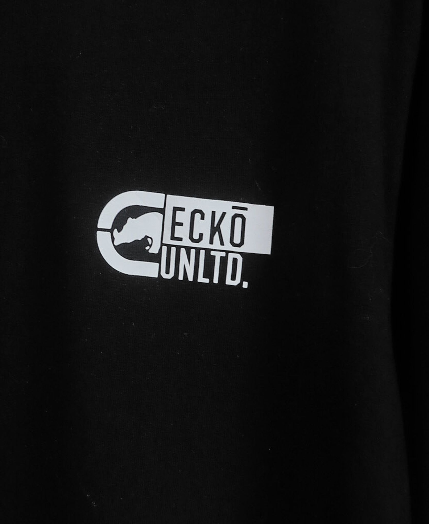 11.21.23 - VTG LONGSLEEVE SHIRT - ECKO