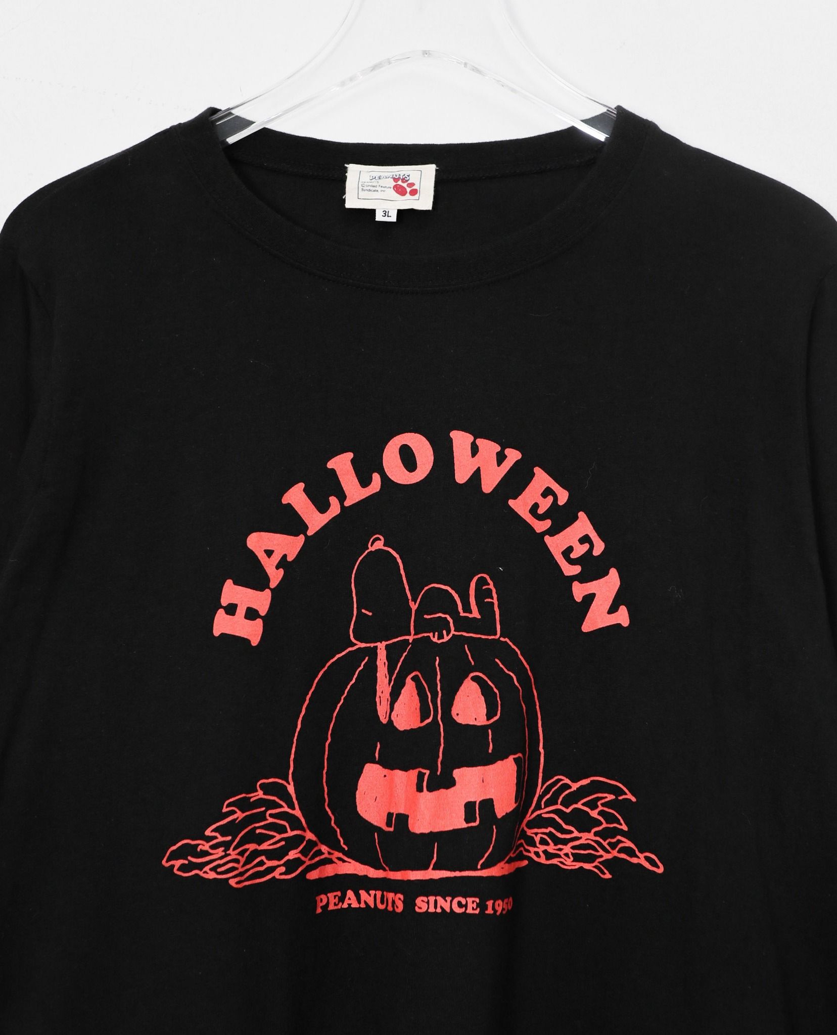 10.25.22 - VTG LONGSLEEVE SHIRT - PEANUTS
