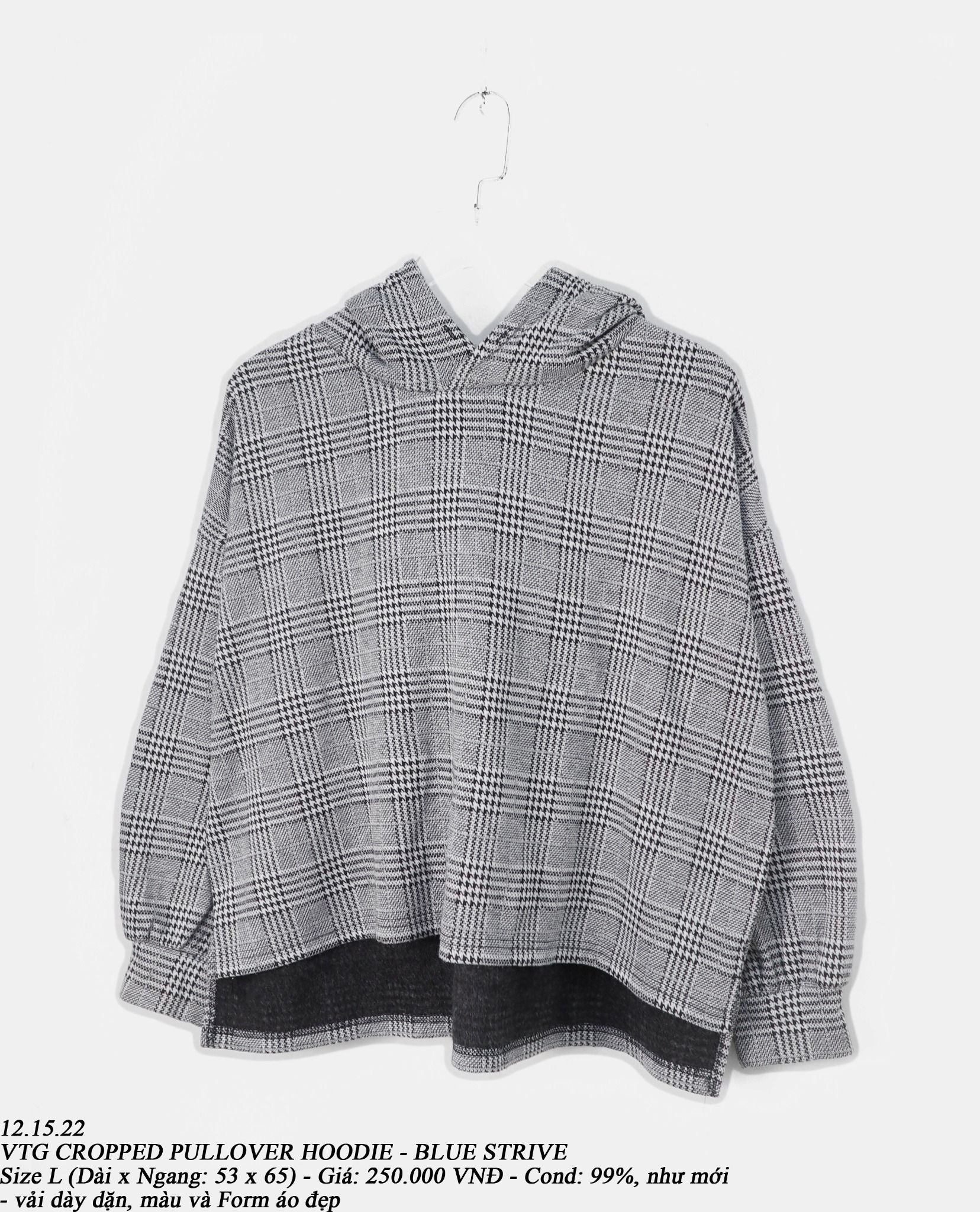 12.15.22 - VTG CROPPED PULLOVER HOODIE - BLUE STRIVE