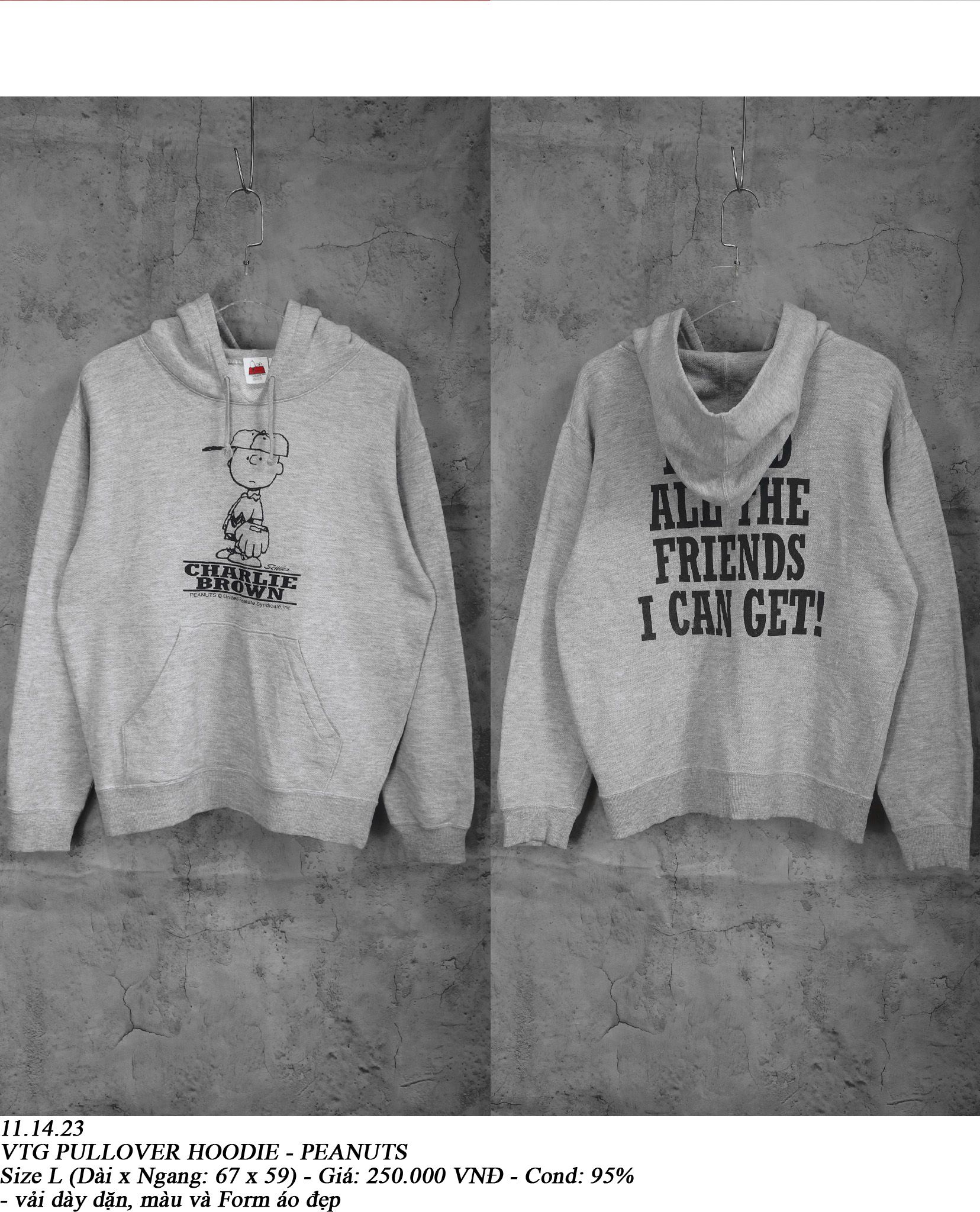 11.14.23 - VTG PULLOVER HOODIE - PEANUTS