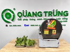 Máy thái hành sả rau củ băng tải YDQC20