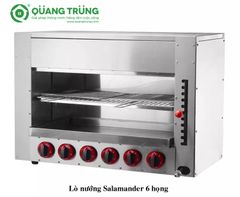 Lò nướng Salamender gas 6 đầu đốt WYG-745B