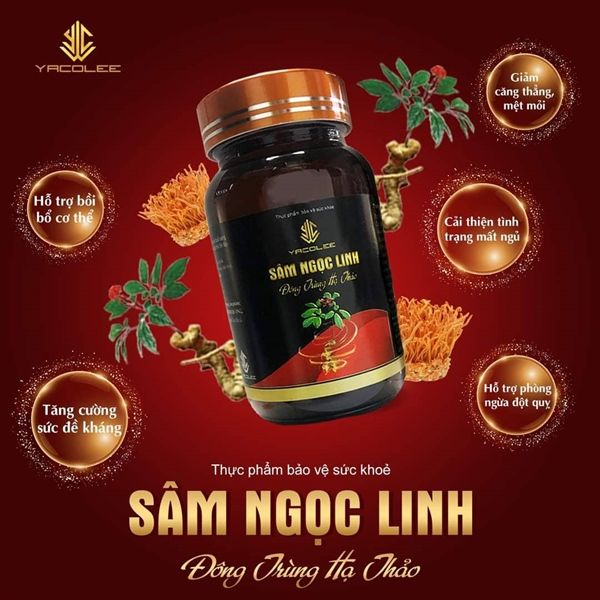 Sâm Ngọc Linh - Đông Trùng Hạ Thảo YACOLEE Hộp 60v
