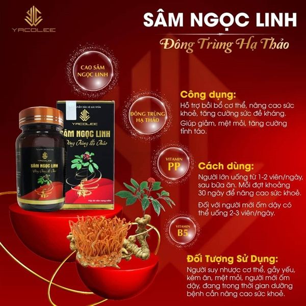 Sâm Ngọc Linh - Đông Trùng Hạ Thảo YACOLEE Hộp 60v