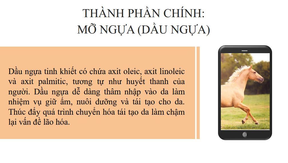 Kem Dưỡng Thể Dầu Ngựa 200g Ban đêm Horse Oil Body Cream Laura Sunshine Nhật Kim Anh