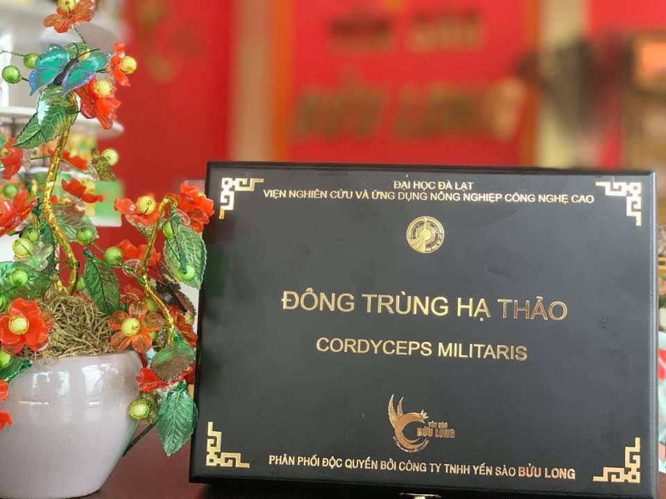  Đông trùng Hạ thảo 30gr 