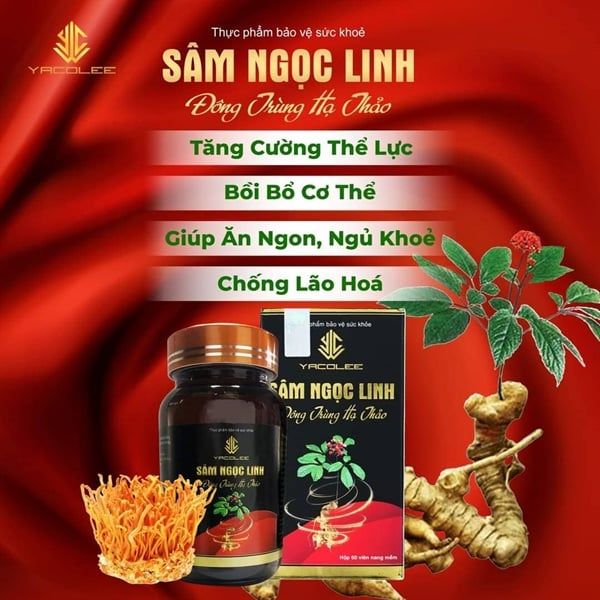  Sâm Ngọc Linh - Đông Trùng Hạ Thảo YACOLEE Hộp 60v 