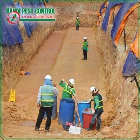 Pre construction termite control