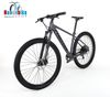 Xe MTB Twitter RIDER 3*10 speed