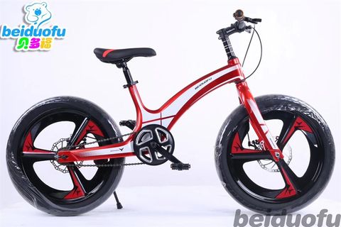 Xe đạp trẻ em Beiduofu 20 bánh mâm