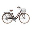 Xe đạp mini Maruishi Wat 2673