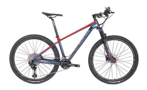 Xe MTB TW stricker Pro M7100 SLX (2*12 speed )