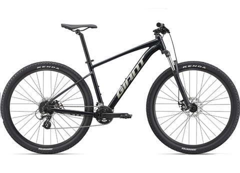 Xe MTB GIANT TALON 29 4 M 2022