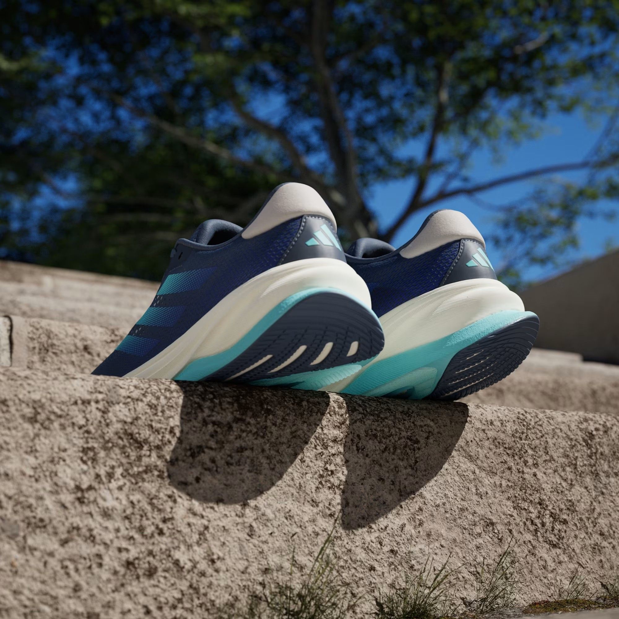 Giày Chạy Bộ Adidas Supernova Solution ID3602