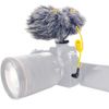 Microphone thu âm kép hiệu Deity D4 DUO Camera-Mount