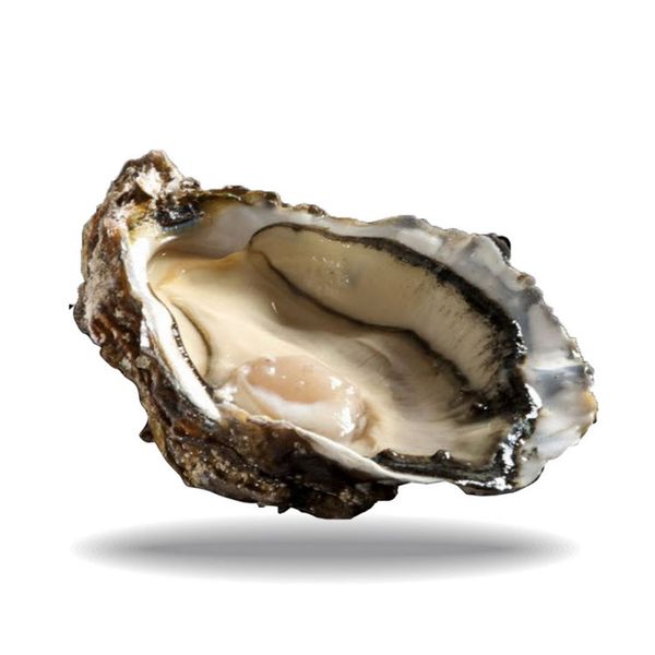 Hàu Tươi Ướp Lạnh Cadoret Nhập Khẩu Pháp - Black Pearl N3 24Pc Oysters Brittany (2Kg)