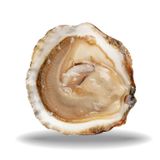 Hàu Tươi Ướp Lạnh Cadoret Nhập Khẩu Pháp - Belon N3 25Pc Oysters Brittany (1.38Kg)