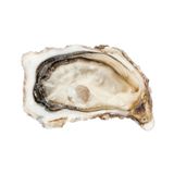 Hàu Tươi Ướp Lạnh Cadoret Nhập Khẩu Pháp - Fine 100 N3 Oysters Brittany (8Kg)