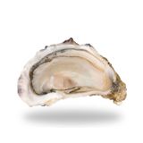 Hàu Tươi Ướp Lạnh Cadoret Nhập Khẩu Pháp - Special N3 24Pc Oysters Brittany (2Kg)