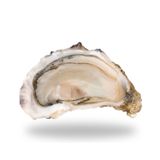 Hàu Tươi Ướp Lạnh Cadoret Nhập Khẩu Pháp - Special N3 100Pc Oysters Brittany (8Kg)