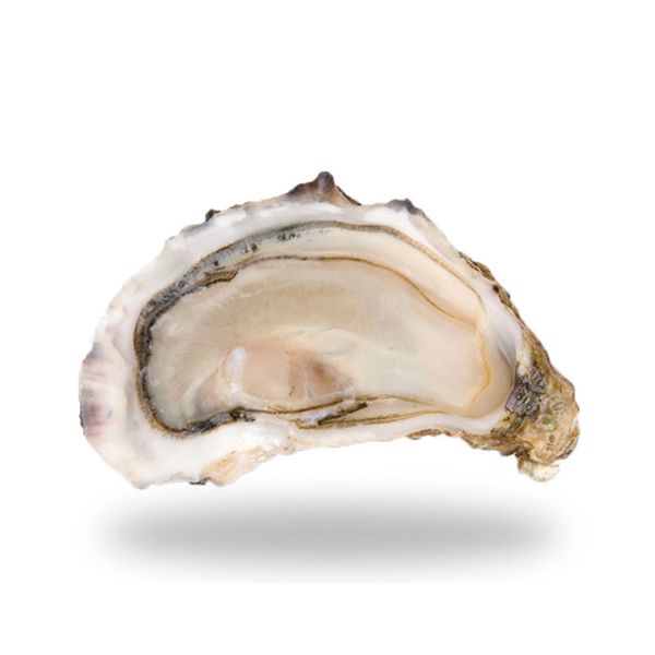 Hàu Tươi Ướp Lạnh Cadoret Nhập Khẩu Pháp - Special N3 100Pc Oysters Brittany (8Kg)