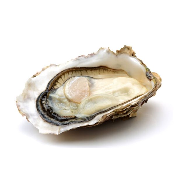 Hàu Tươi Ướp Lạnh Cadoret Nhập Khẩu Pháp - Fine 100 N3 Oysters Normandy (8Kg)