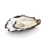 Hàu Tươi Ướp Lạnh Cadoret Nhập Khẩu Pháp - Fine 96 N3 Oysters Normandy (8Kg)