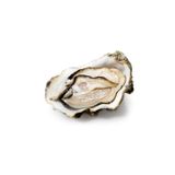 Hàu Tươi Ướp Lạnh Cadoret Super Special Oysters Normandy Size N1 (1.75Kg)