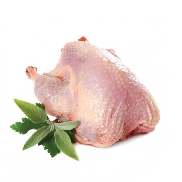 Bồ câu nguyên con đông lạnh - Squab pigeon ovenready ~300-500g/pc/tray