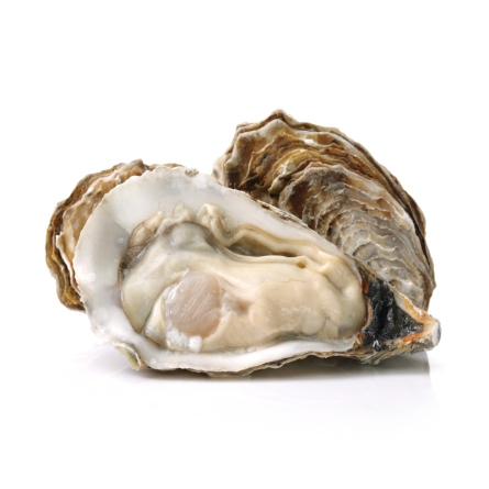 Hàu Nhật Đông Lạnh - Frz Whole Shell Oyster M (80g*100pc) ( 8kg) - Honda Suisan Pcs