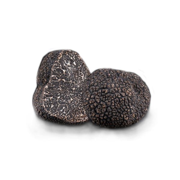 Nấm Truffle Đen Nguyên Củ Đông Lạnh (100g) - Plantin Winter Black Truffle