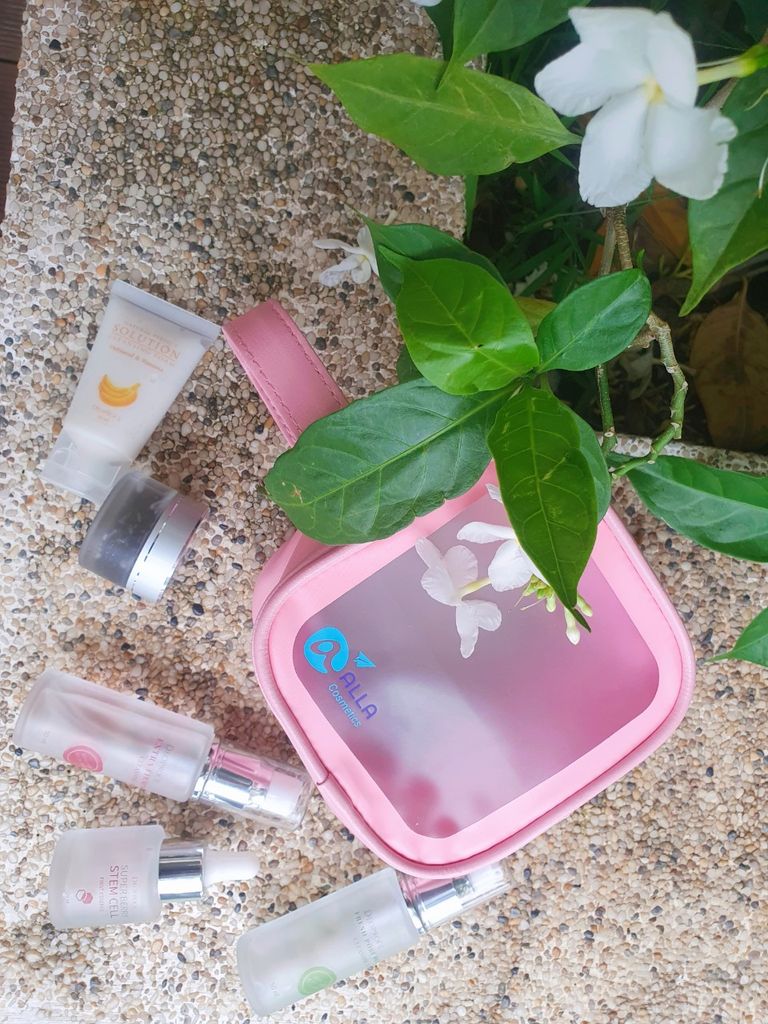 Túi Đựng Mỹ Phẩm, Túi Đựng Đồ Trang Điểm Trong Suốt Chống Thấm Nước Alla Cosmetics