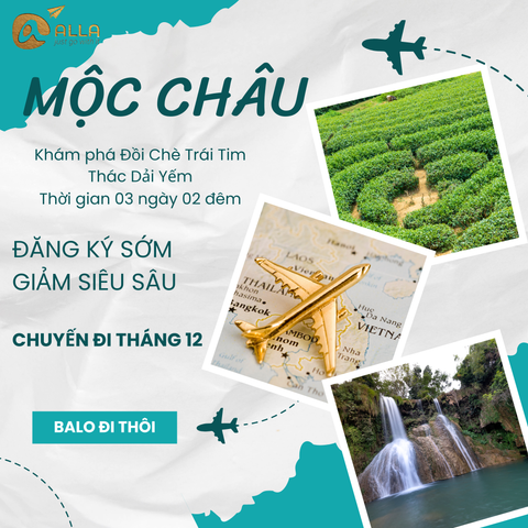 [MỘC CHÂU 3N2Đ ] Mùa Thu Chiêm Ngưỡng Hoa Cải Trắng Thung Lũng Nà Ka | Cầu Kính Bạch Long