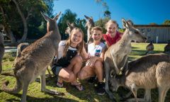 [SYDNEY – MELBOURNE 6N5Đ] DU THUYỀN NGẮM CÁ VOI | NÚI TUYẾT MT BULLER