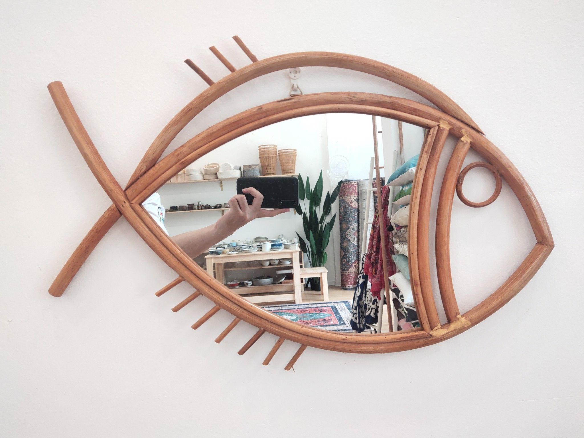 GƯƠNG CÁ/FISH MIRROR