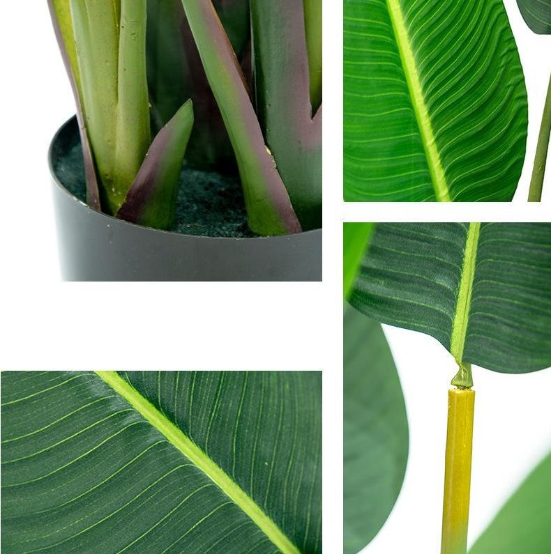 Banana Tree