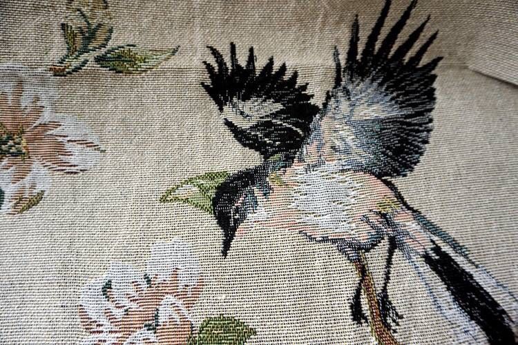 BIRDS