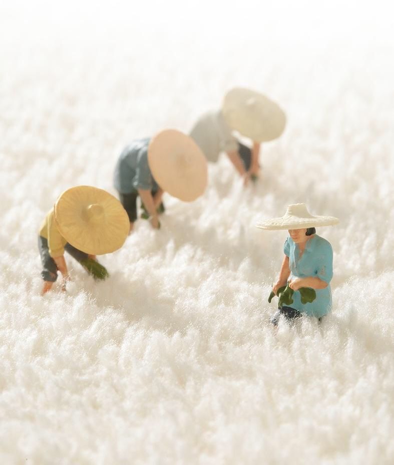 Thảm chân len cừu