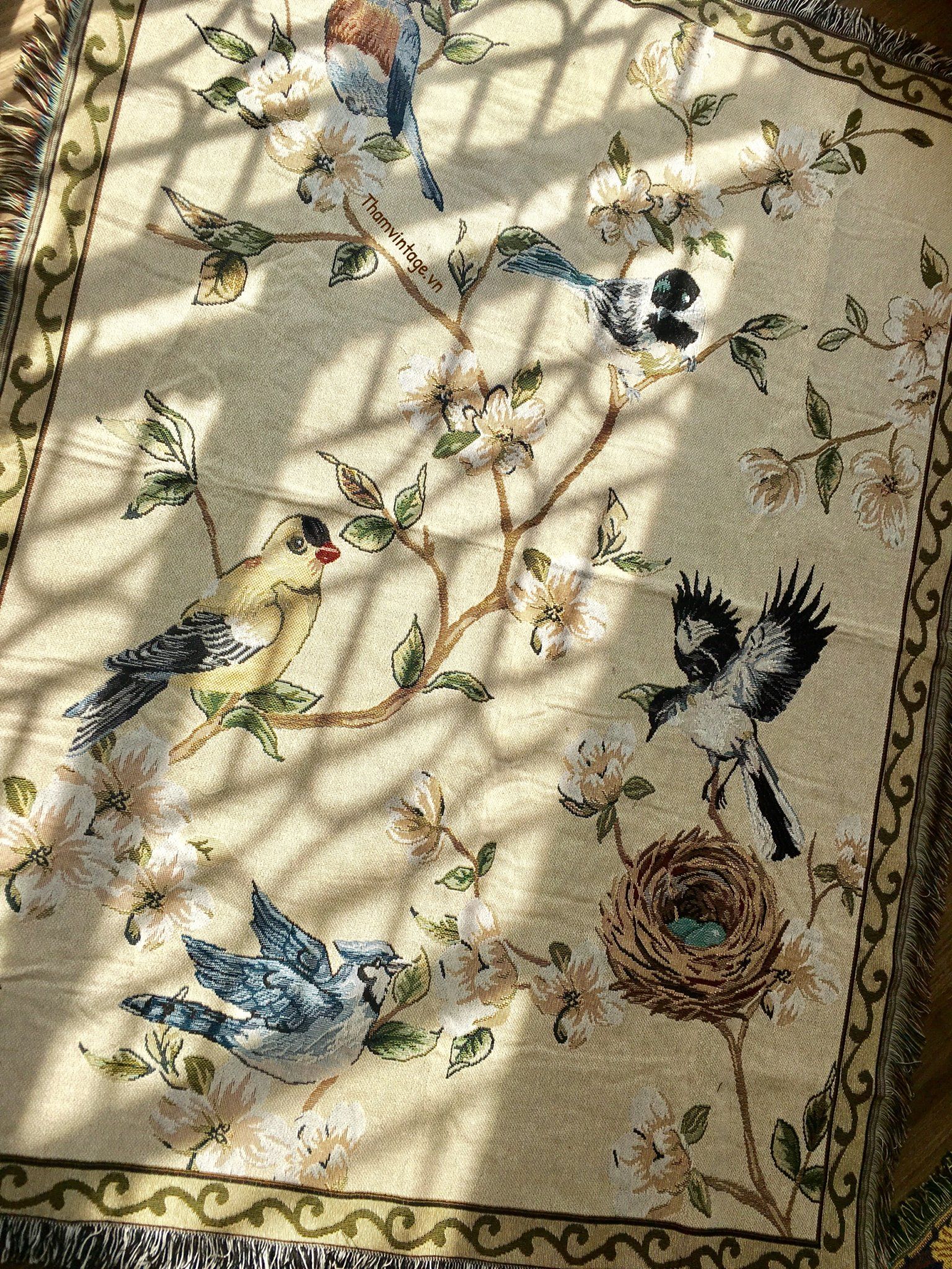 BIRDS