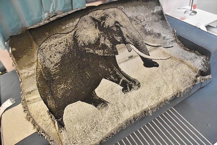 ELEPHANTS