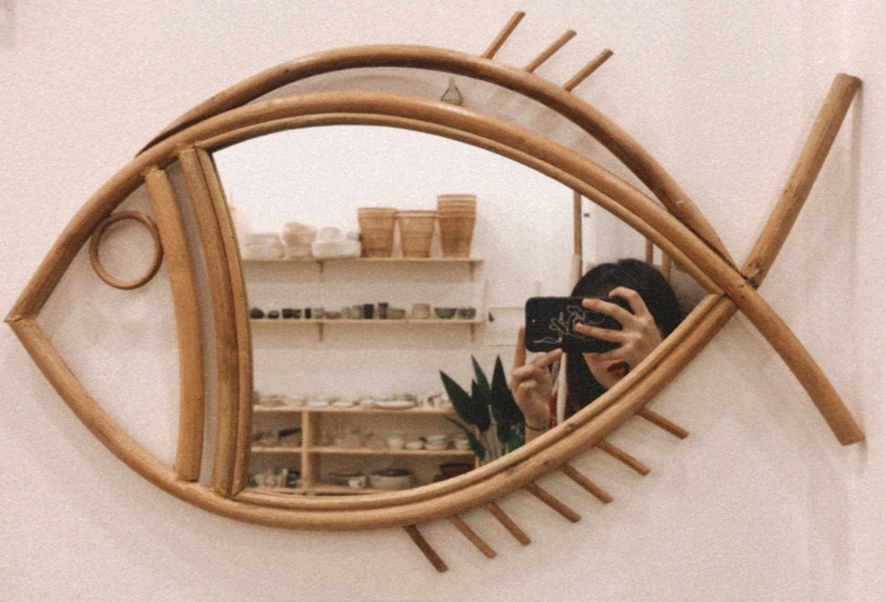 GƯƠNG CÁ/FISH MIRROR