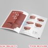 In catalogue lấy nhanh tại Ba Đình