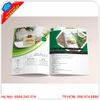 In catalogue giá rẻ tại Cầu Giấy