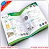 Những mẫu Catalogue đẹp