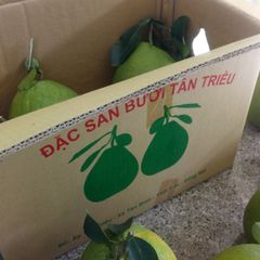 Thùng carton đựng bưởi