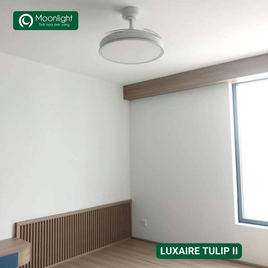 Quạt trần đèn thu cánh Đài Loan Luxaire Tulip II