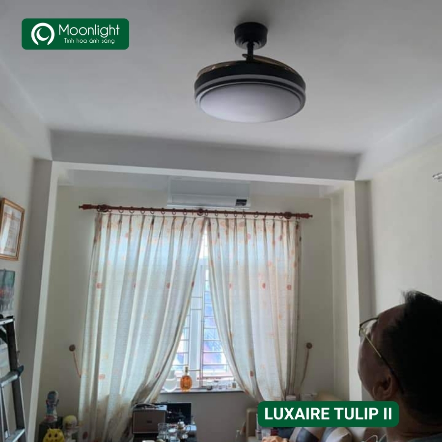 Quạt trần đèn thu cánh Đài Loan Luxaire Tulip II  4 cánh 122cm 90w AC