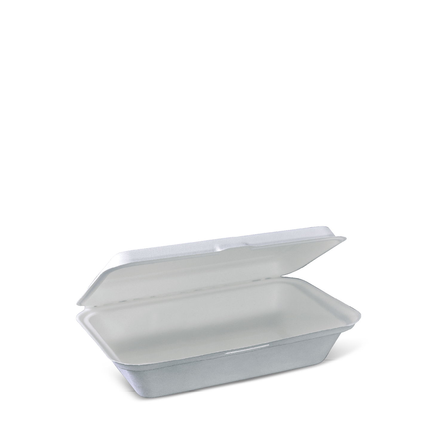 Hộp bã mía 1 ngăn Eco nhỏ 251 x 162 x 50mm- L632S0001