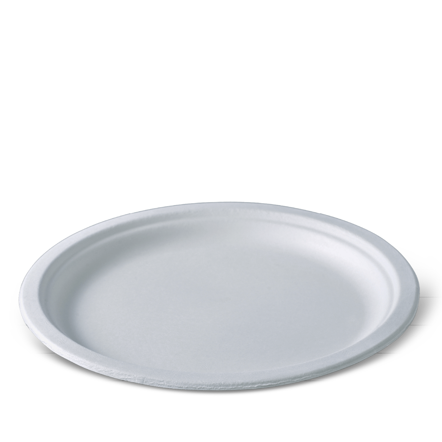 Đĩa bã mía Eco 250mm-N752S0001